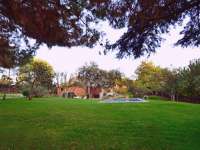 Alquiler - Chalet - Villa - La Moraleja