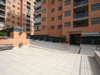 Rental - Planta Baja - A-ALICANTE CAPITAL - San Blas Nuevo Pau 1/2