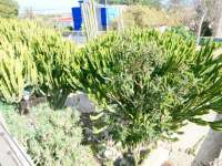 Venta - Chalet - Villa - A-ALICANTE CAPITAL - Vistahermosa