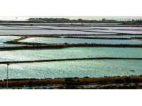 Venta - Piso - apartamento - Murcia