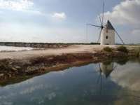 Venta - Piso - apartamento - Murcia