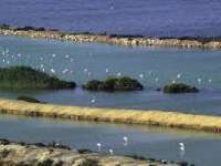 Venta - Piso - apartamento - Murcia