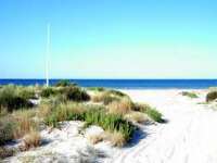 Venta - Piso - apartamento - Murcia