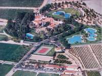 Venta - FInca - casa campo - Novelda