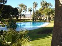 Venta - FInca - casa campo - Novelda