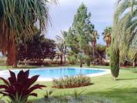 Venta - FInca - casa campo - Novelda