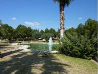 Venta - FInca - casa campo - Novelda