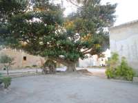 Venta - Chalet - Villa - A-ALICANTE CAPITAL - SAN JUAN PLAYA-GOLF ALICANTE