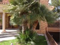 Venta - Chalet - Villa - A-ORIHUELA COSTA - Cabo Roig