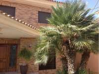 Venta - Chalet - Villa - A-ORIHUELA COSTA - Cabo Roig