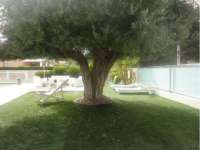 Venta - Chalet - Villa - A-ORIHUELA COSTA - COSTA Villamartin