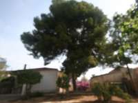 Venta - Chalet - Villa - A-ALICANTE CAPITAL - Vistahermosa