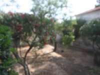 Venta - Chalet - Villa - A-ALICANTE CAPITAL - Vistahermosa