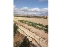 Venta - Chalet - Villa - Agost