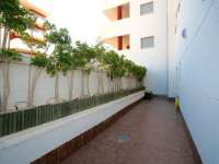Venta - Planta Baja - Elche - ARENALES DEL SOL