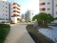 Venta - Planta Baja - Elche - ARENALES DEL SOL