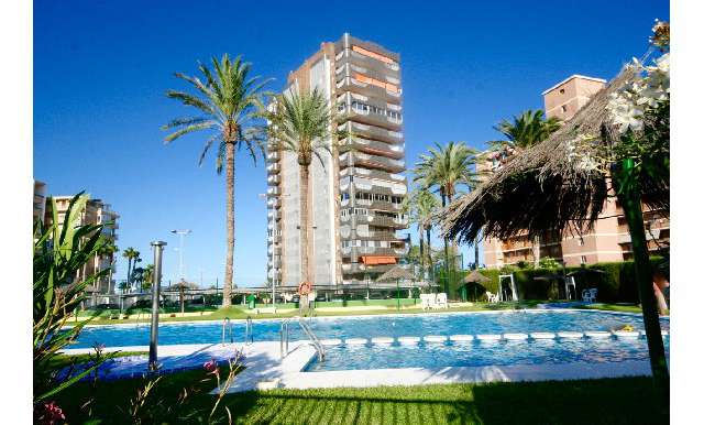Квартира Апартаменты - Продажа - A-ALICANTE CAPITAL - SAN JUAN PLAYA