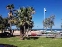 Venta - Planta Baja - A-GUARDAMAR DEL SEGURA - Cervantes-Playa