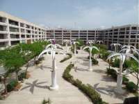 Venta - Piso - apartamento - A-GUARDAMAR DEL SEGURA - Plaza Porticada