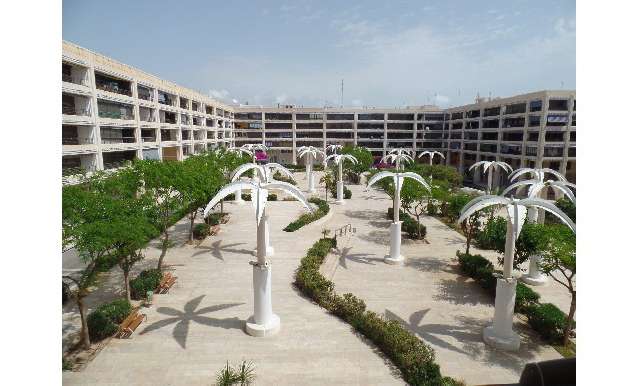 Piso - apartamento - Venta - A-GUARDAMAR DEL SEGURA - Plaza Porticada