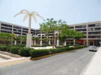 Venta - Piso - apartamento - A-GUARDAMAR DEL SEGURA - Plaza Porticada