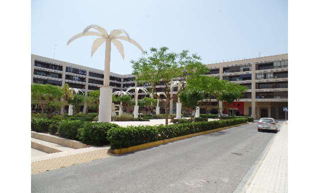 Piso - apartamento - Venta - A-GUARDAMAR DEL SEGURA - Plaza Porticada