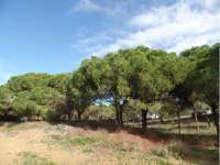 Аренда - Квартира Апартаменты - La Mata