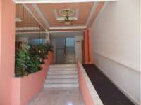 Alquiler - Piso - apartamento - A-GUARDAMAR DEL SEGURA - Mercadona (300m playa)