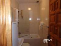 Alquiler - Bungalow - Chalet - adosado - La Marina - Urbanizaciones