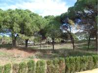 Продажа - Бунгало/Taунхаус - A-GUARDAMAR DEL SEGURA - Sur (rotonda entrada)