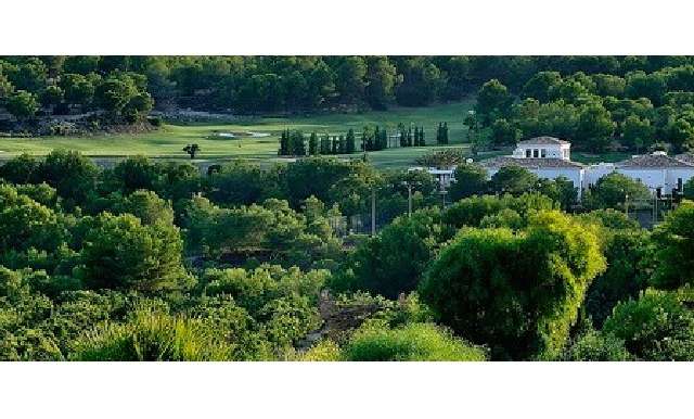 Terreno - Venta - San Miguel de Salinas - San Miguel de Salinas