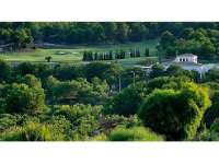 Vente - Land - San Miguel de Salinas