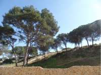 Venta - Piso - apartamento - A-GUARDAMAR DEL SEGURA - Pueblo 