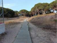 Venta - Piso - apartamento - A-GUARDAMAR DEL SEGURA - Sur (rotonda entrada)