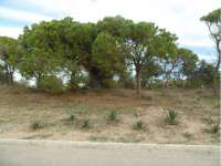 Venta - Piso - apartamento - A-GUARDAMAR DEL SEGURA - Sur (rotonda entrada)