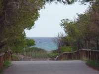 Venta - Piso - apartamento - A-GUARDAMAR DEL SEGURA - Sur (rotonda entrada)