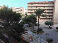 Venta - Piso - apartamento - A-GUARDAMAR DEL SEGURA - Sur (rotonda entrada)