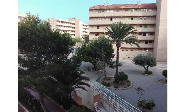 Квартира Апартаменты - Продажа - A-GUARDAMAR DEL SEGURA - Sur (rotonda entrada)