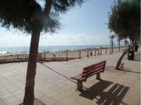 Venta - Local - A-GUARDAMAR DEL SEGURA - Cervantes-Playa
