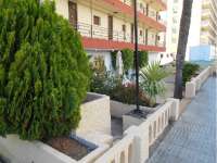 Venta - Estudio - A-BENIDORM - Benidorm