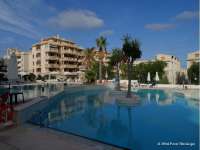 Venta - Planta Baja - A-GUARDAMAR DEL SEGURA - Sur (rotonda entrada)