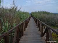 Venta - Planta Baja - A-GUARDAMAR DEL SEGURA - Sur (rotonda entrada)