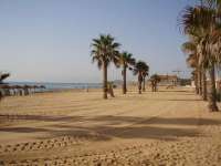 Venta - Piso - apartamento - La Mata