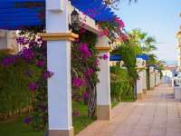 Venta - Bungalow - Chalet - adosado - La Mata