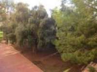 Venta - Piso - apartamento - La Mata