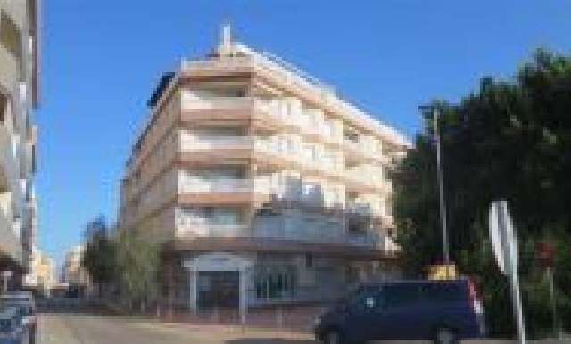 Apartment - Sale - La Mata - La Mata