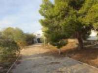 Vente - Estate - A-TORREVIEJA - Aguas Nuevas