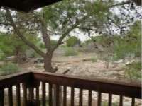 Vente - Estate - A-TORREVIEJA - Aguas Nuevas