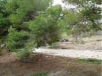 Vente - Estate - A-TORREVIEJA - Aguas Nuevas