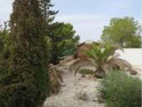 Vente - Estate - A-TORREVIEJA - Aguas Nuevas